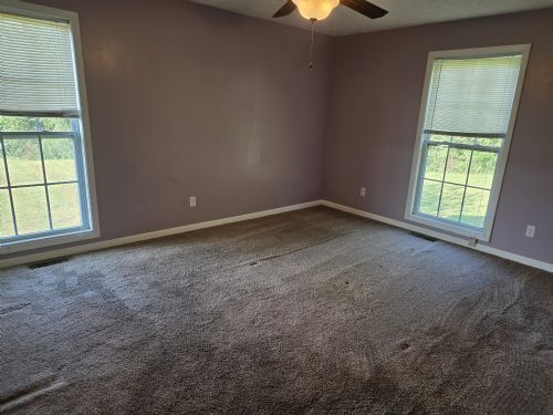 Lewis Auction